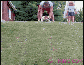 sliding dog