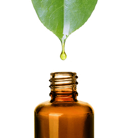 Mineral Makeup Distributor